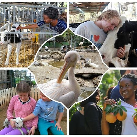 Shaar Hagolan Kibbutz Country Lodging Экстерьер фото