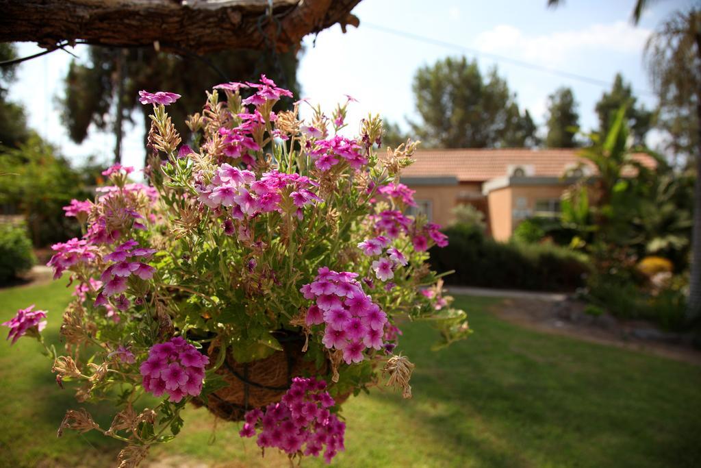 Shaar Hagolan Kibbutz Country Lodging Экстерьер фото