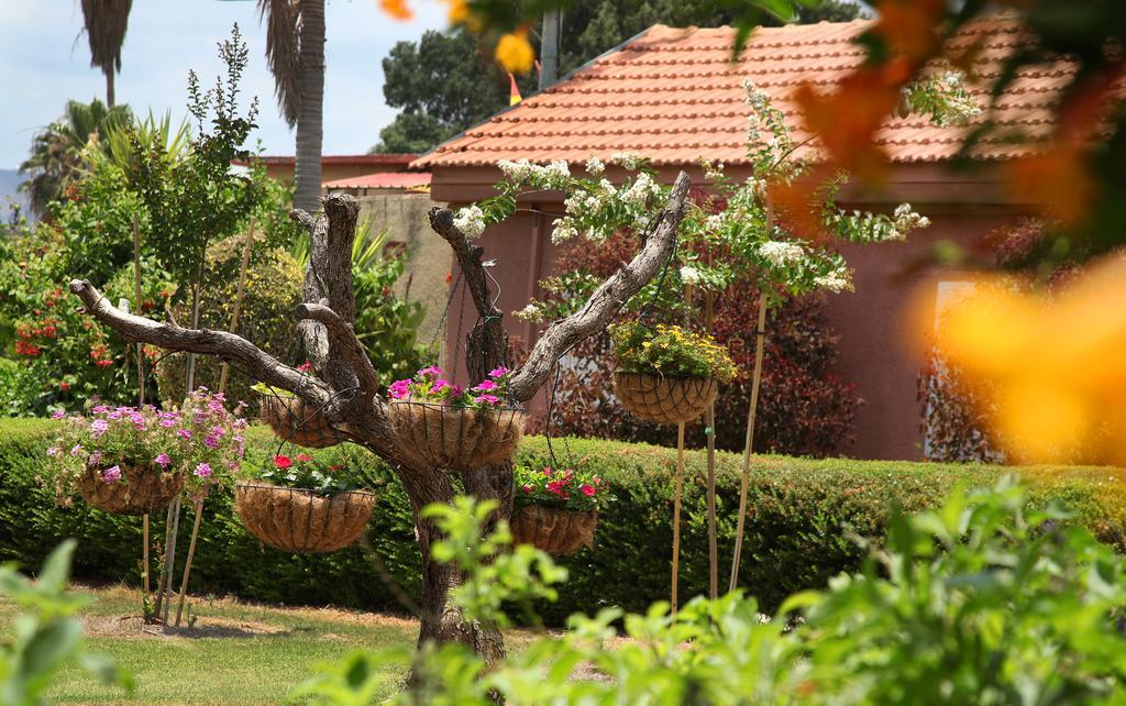 Shaar Hagolan Kibbutz Country Lodging Экстерьер фото